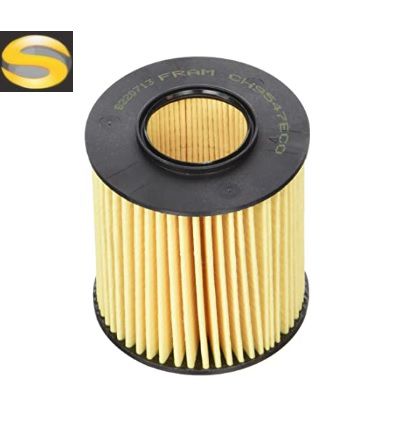 FRAM CH9547ECO - Filtro de Óleo Lubrificante