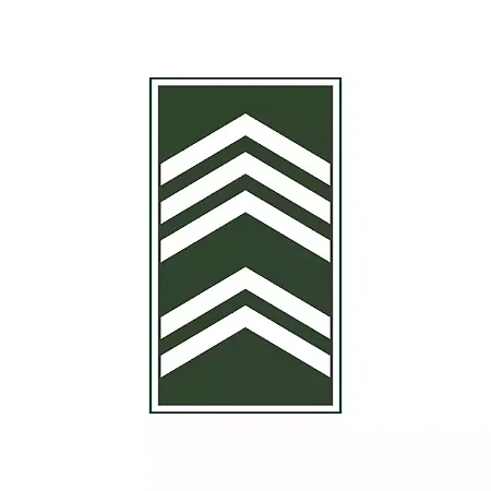 Divisa Emborrachada - 1° Sargento