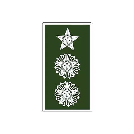 Divisa Emborrachada - Tenen. Coronel