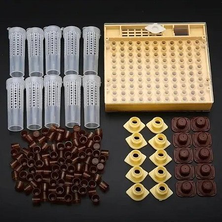 Kit nicot para produção de abelha rainha