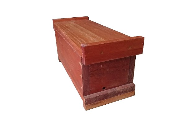 Colméia para Abelha Jataí Horizontal