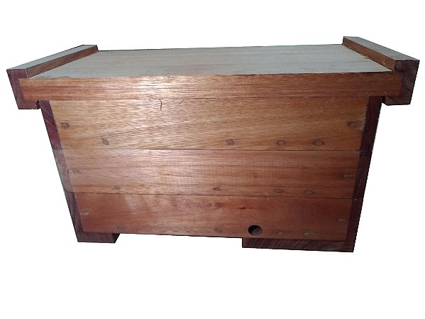 Colméia Horizontal para Mandaçaia