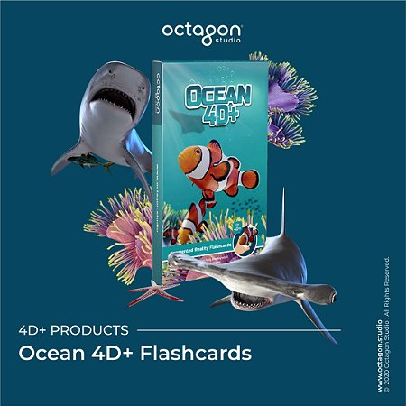 Flash Cards Oceano