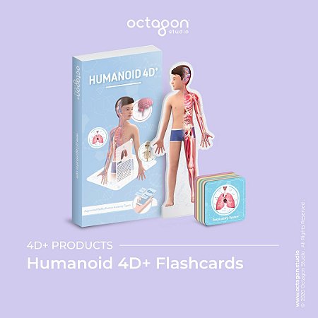 Flash Cards Corpo Humano 4D