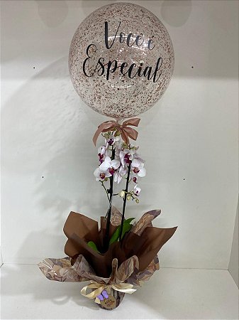 Mini orquídea com Balão