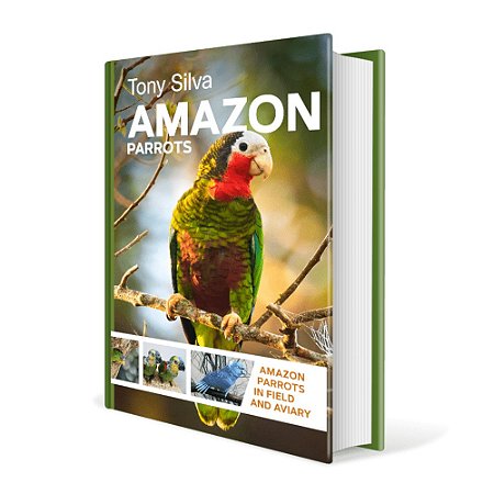 Amazon Parrots by Tony Silva