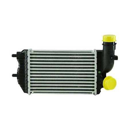 Intercooler Citroen Fiat Peugeot Boxer Furgão Ducato Cargo Jumper 1995 a 2009 Notus