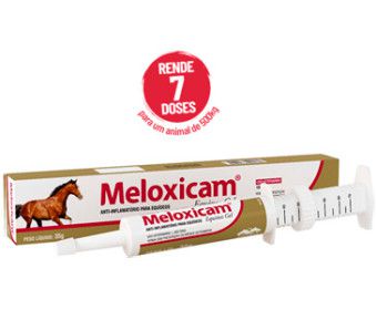 Meloxicam Pasta 35g - Agro Agropecuária em Brusque Santa Catarina