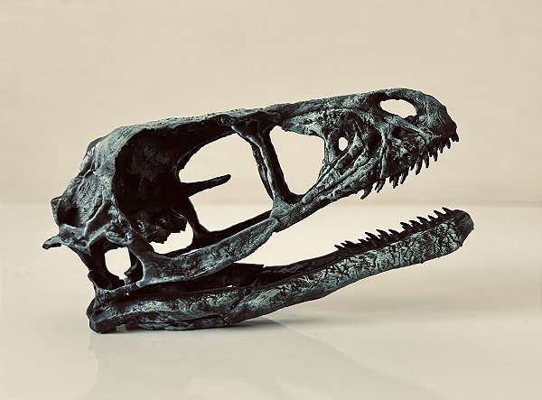 Crânio de Bambiraptor
