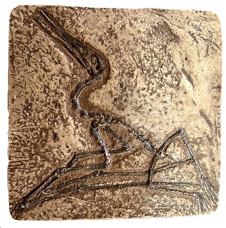 Fóssil de Pterodactylus elegans - Ctenochasma elegans