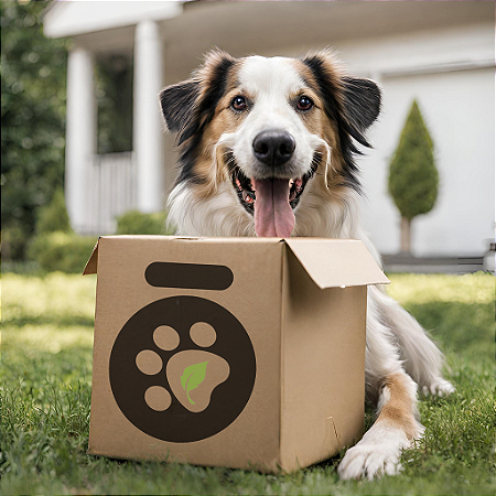 BOVINO & SUÍNO - ASSINATURA