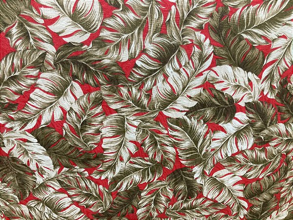 Jacquard brocado Estampado