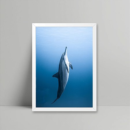 Quadro Golfinho