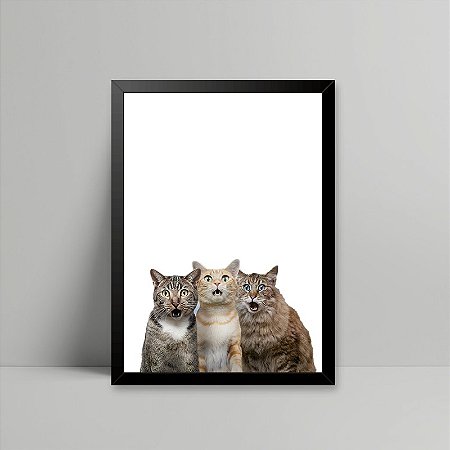 Quadro Gatos Surpresos