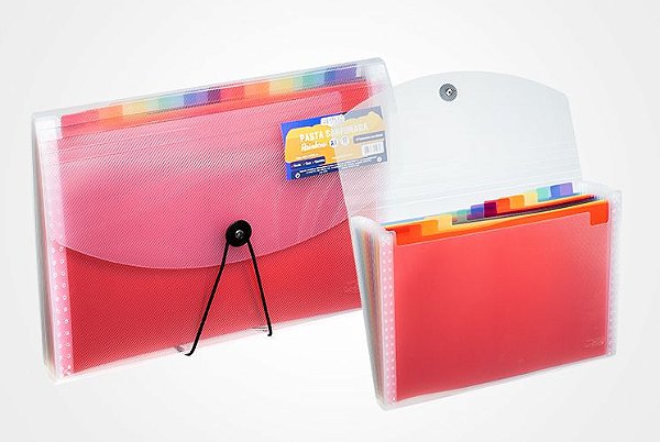 PASTA SANFONADA PORTA CHEQUE 12 DIVISÓRIAS