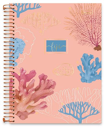 CADERNO FIJI 1X1