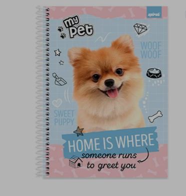 CADERNO MY PETS C/80F 1X1