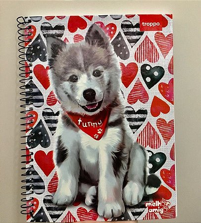 CADERNO 1X1 MELHOR AMIGO