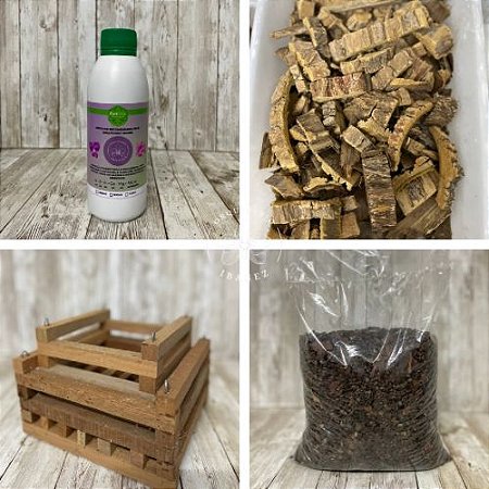 KIT DE CULTIVO PARA ORQUIDEAS #11