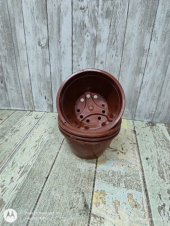 VASO CUIA PEQUENA  10 UNIDADES