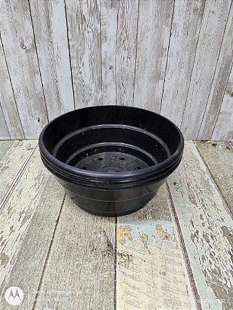 VASO CUIA GRANDE  10 UNIDADES