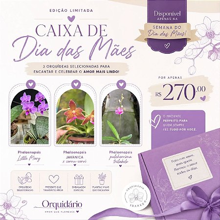 CAIXA DIA DAS MÃES