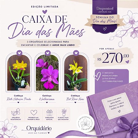 CAIXA DIA DAS MÃES #2
