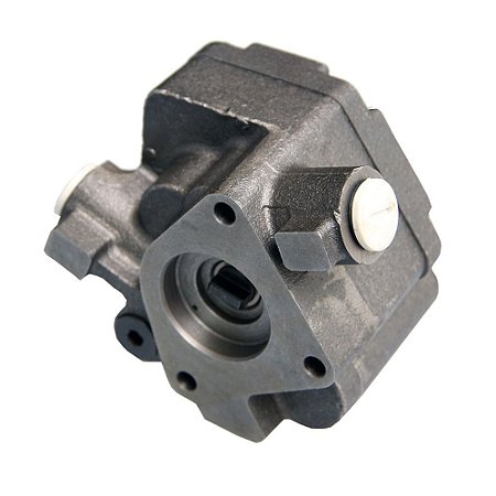 500396487 - Bomba Alimentadora Iveco Stralis