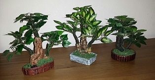 Mini bonsai