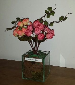 Vaso Charme