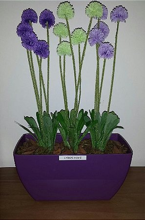 Jardineira Lilás