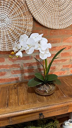 Arranjo De Orquídea Toque Real Branca