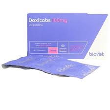 DOXITABS 100MG BIOVET - 1 CARTELA COM 14 COMPRIMIDOS