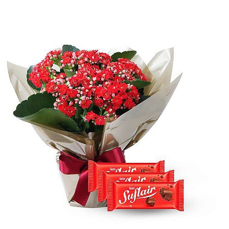 Flor da Fortuna Com Trio de Suflair