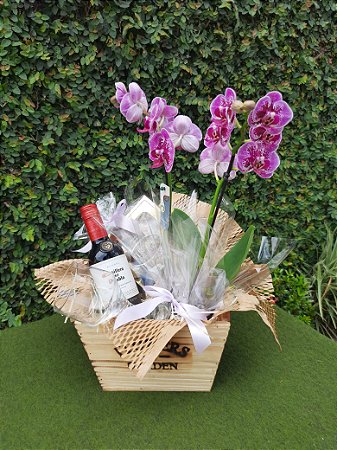 Cesta Orquídea Requinte