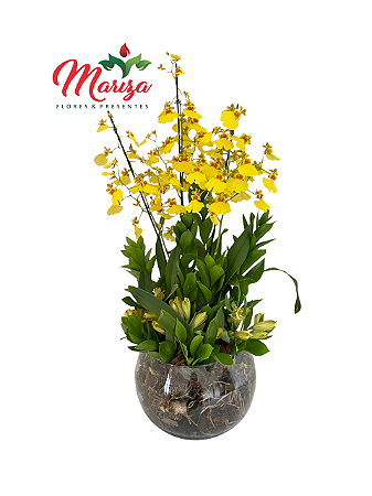 Jardim de Orquídeas Chuva-de-Ouro