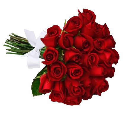 Buquê de 20 Rosas Vermelhas Entrega Zona Sul e Região - Mariza Flores