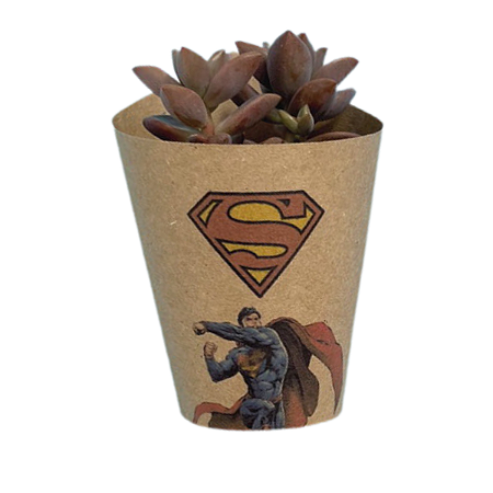 Lembrancinhas Superman de Suculenta - Super Homem