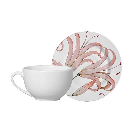 Conjunto 6 Xicaras Chá com Pires Helvetia - Alleanza