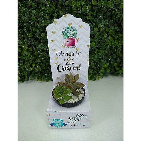Embalagem caixa para suculenta dia dos professores 10 unidades