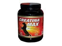 Creatina Max  500 Grs