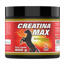 Creatina Max  500 Grs