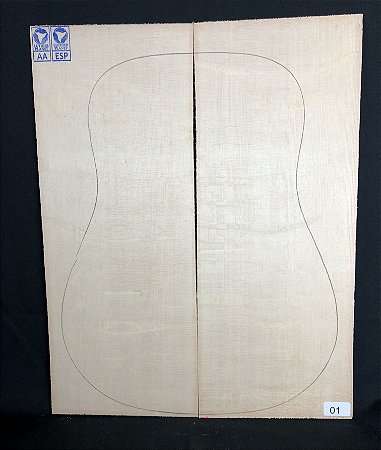 TAMPO ABETO SITKA FOLK BEAR CLAW AA