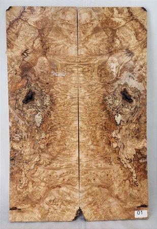 TAMPO MAPLE BURL GUITARRA/BAIXO