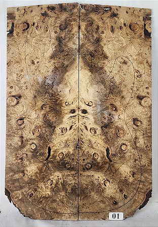 TAMPO MYRTLEWOOD BURL GUITARRA/BAIXO (DROP-TOP)