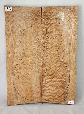 TAMPO MAPLE GUITARRA/BAIXO (CARVED-TOP) 3A