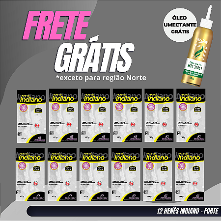 Henê Indiano Forte 180gr Pouch 12 unidades