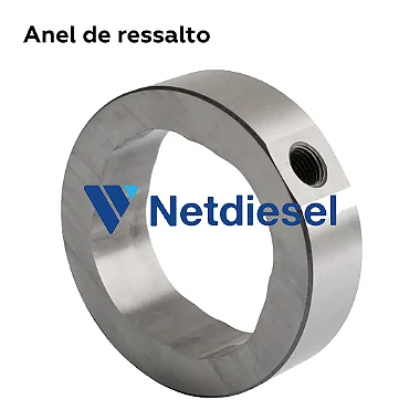 7123-308N - Anel de ressalto - Delphi