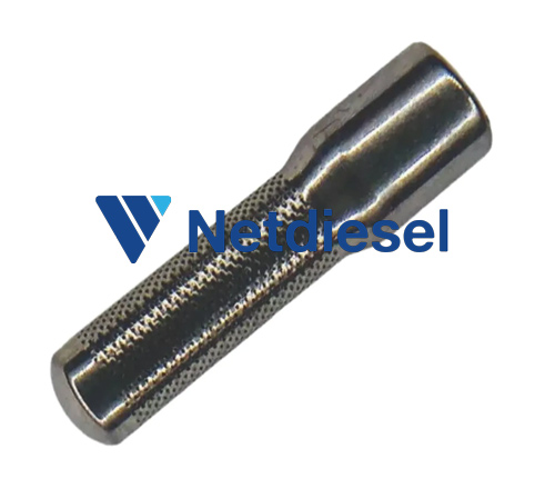 093152-0320 - Microfiltro para  injetor - DAP