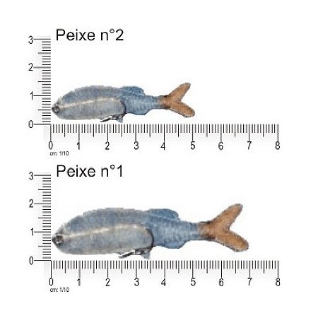 Isca Peixe N° 1 Fishtex